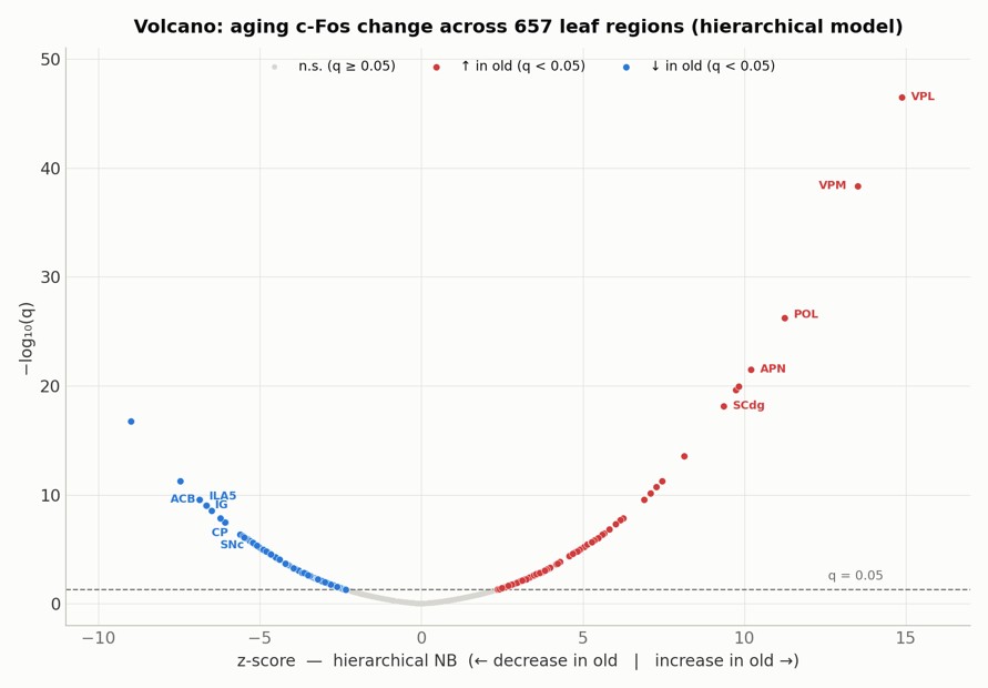 Volcano plot of aging c-Fos changes across 657 brain regions