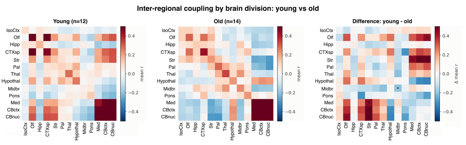 Inter-regional coupling matrices, young vs old