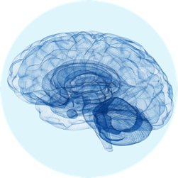 Brain signature